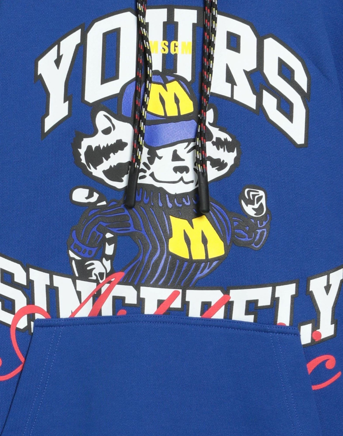 Msgm Mens Sweatshirt in Blue