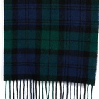 Polo Ralph Lauren Men's Tartan Scarf in Blackwatch 