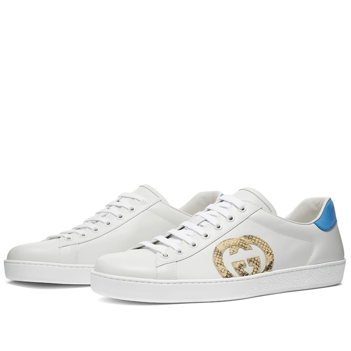 Photo: Gucci Python GG New Ace Leather Sneaker