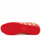 Adidas Men's Galaxy OG in Gold Metallic/Red/Off White