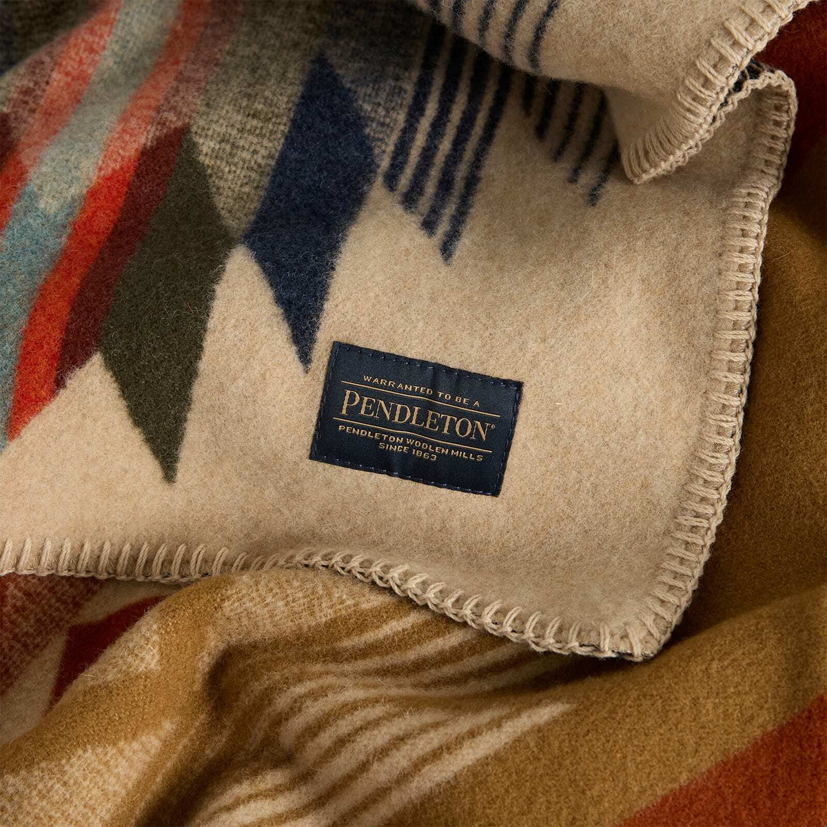 Pendleton Contemporary Napped Throw in Wyeth Falls 