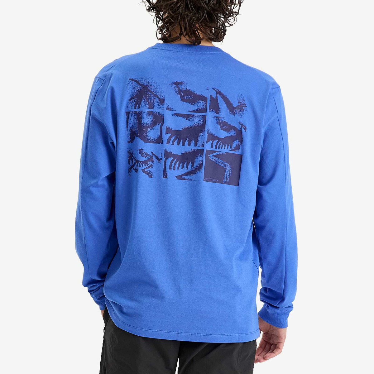 Arc'teryx Men's Kragg SL Cotton Bird Tile Long Sleeve T-Shirt in