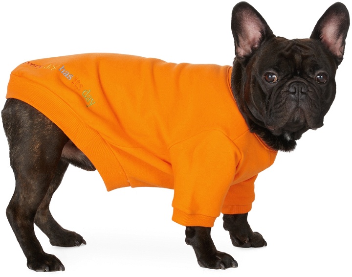 Photo: little beast Orange 'The Lucky Orange' Sweatshirt