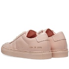 Woman by Common Projects B-Ball Low