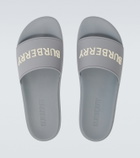 Burberry Logo slides