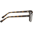 Ray-Ban Brown RB2225 Sunglasses