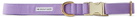 See Scout Sleep Purple Extra Large Scot Dog Collar