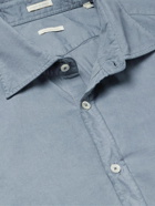 Massimo Alba - Cotton Oxford Shirt - Blue
