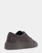 Steve Madden Argo Sneakers in Taupe