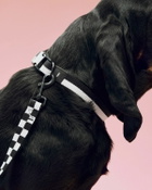 HAY HAY Dogs Collar Flat-S/M black/white Mens Pet Care