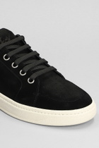 Giuseppe Zanotti Gz95 Sneakers In Black Suede
