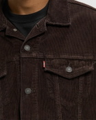 Levis THE TRUCKER JACKET Brown Mens Denim Jacket