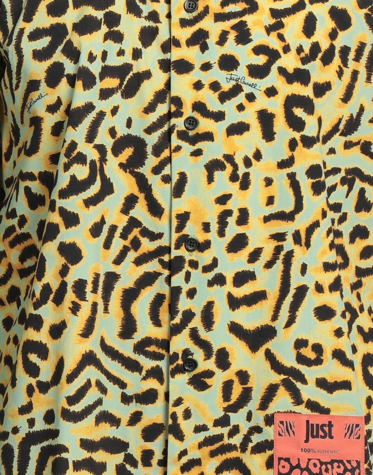 Just Cavalli Mens Shirt in Sage green