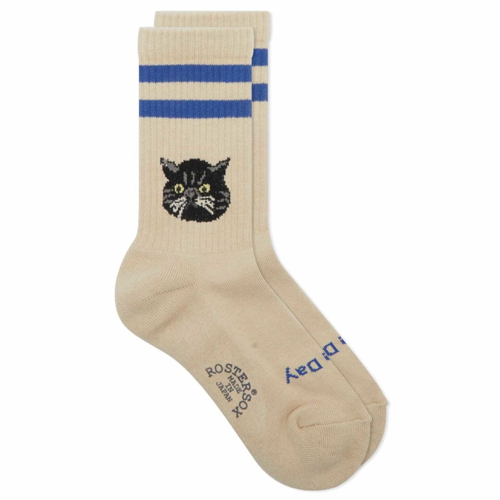 Photo: Rostersox Cat Socks in Beige