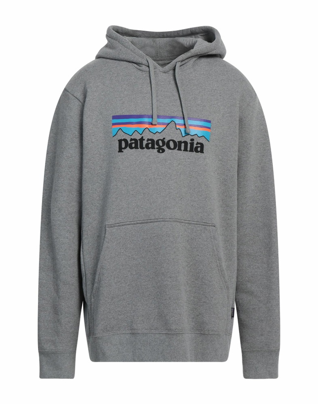 Photo: Patagonia Mens Sweatshirt Light in Grey