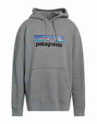 Patagonia Mens Sweatshirt Light in Grey