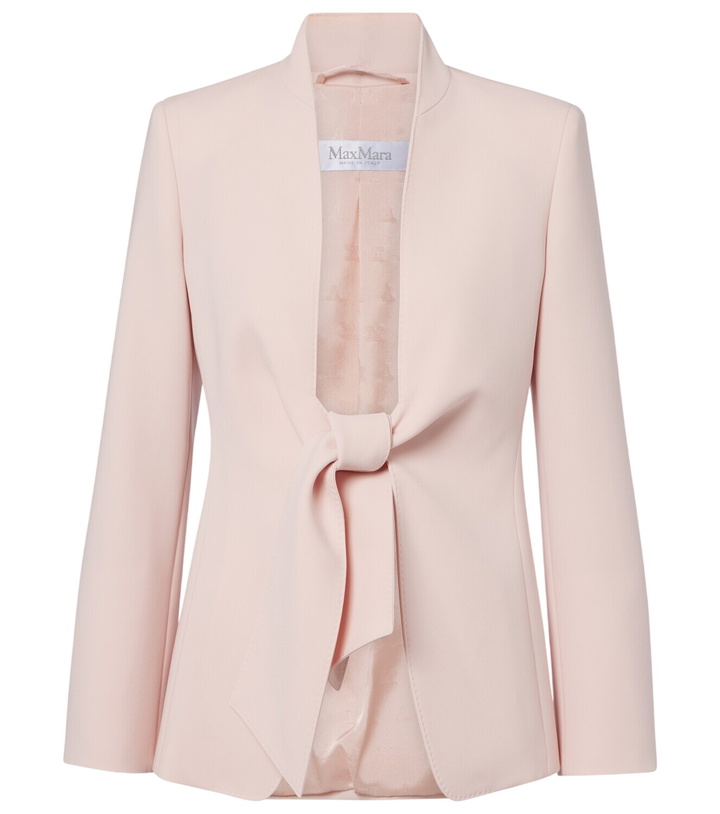 Photo: Max Mara Cady jacket