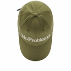 Aries No Problemo Cap in Olive