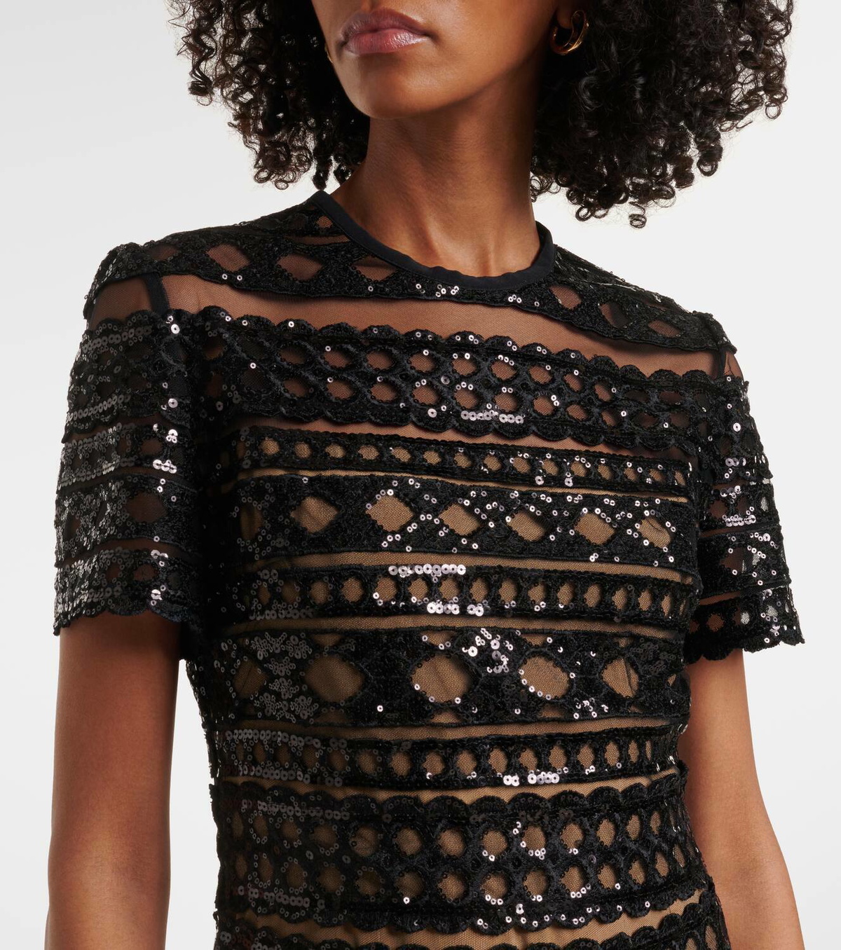Elie Saab Embroidered mesh midi dress Elie Saab