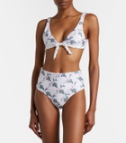 Agua by Agua Bendita Magenta floral bikini bottoms