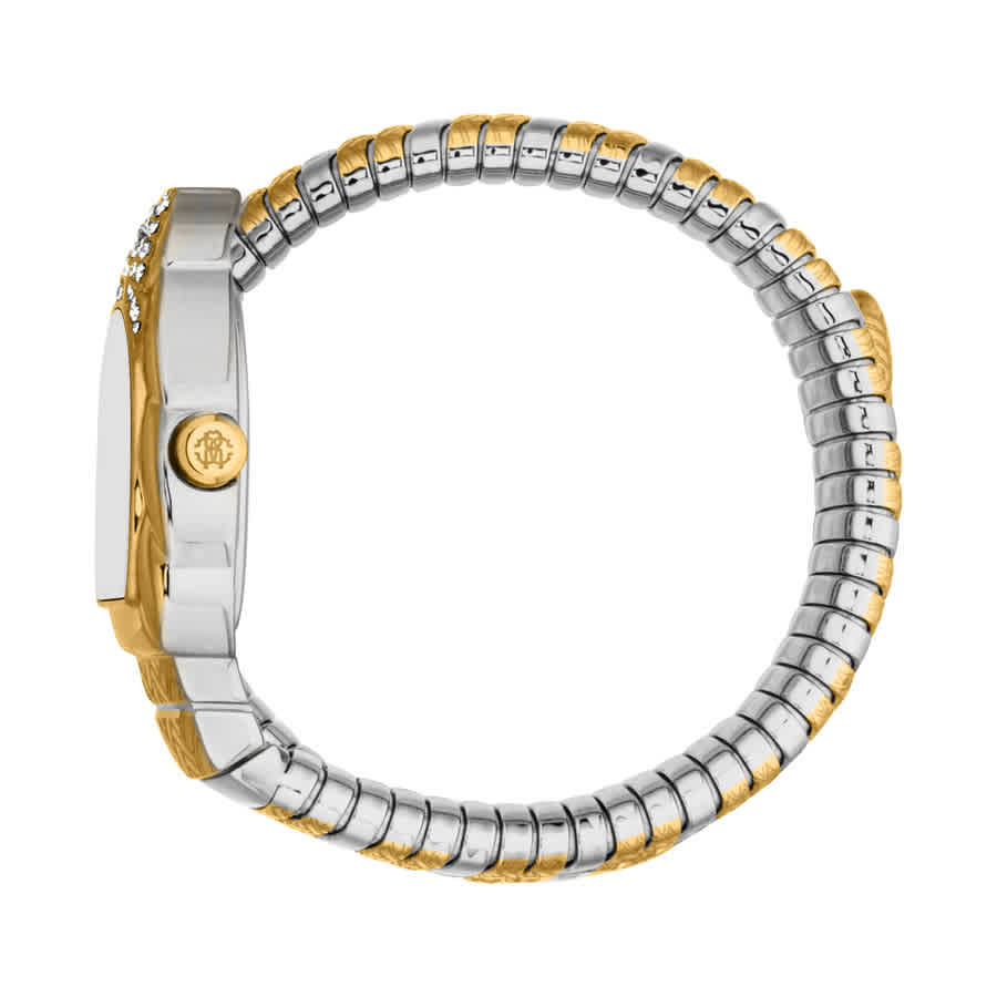Roberto Cavalli Aurora Silver-tone Dial Ladies Watch RC5L133M0065