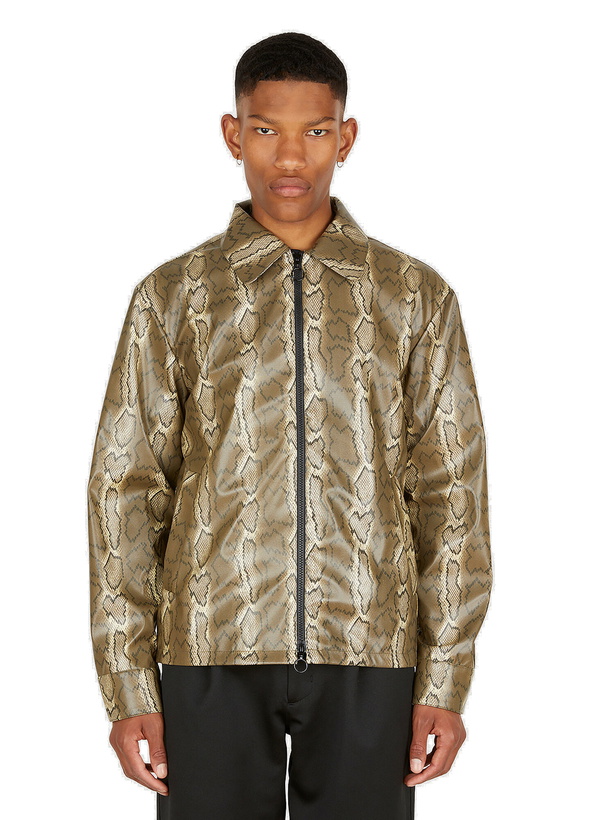 Photo: Mapp Snake Print Jacket in Brown