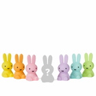 Mr Maria Mr. Maria Miffy Bundle of Light Colourful Surprise in Assorted 