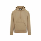 Carhartt Hooded Chase Sweatshirt