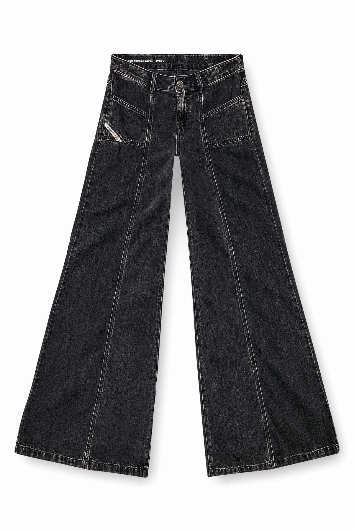 DIESEL Flare Jeans D-Akii W25 黒 2024年モデル DIESEL Flare Jeans D-Akii W25 黒 2024年モデル