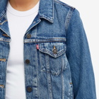 Levi's Women's Denim Trucker Jacket in Blue