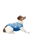 MC2 Saint Barth Dog Sweater With Nordic Jacquard