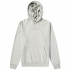 Air Jordan Men's Wordmark Fleece Hoody in Grey Heather