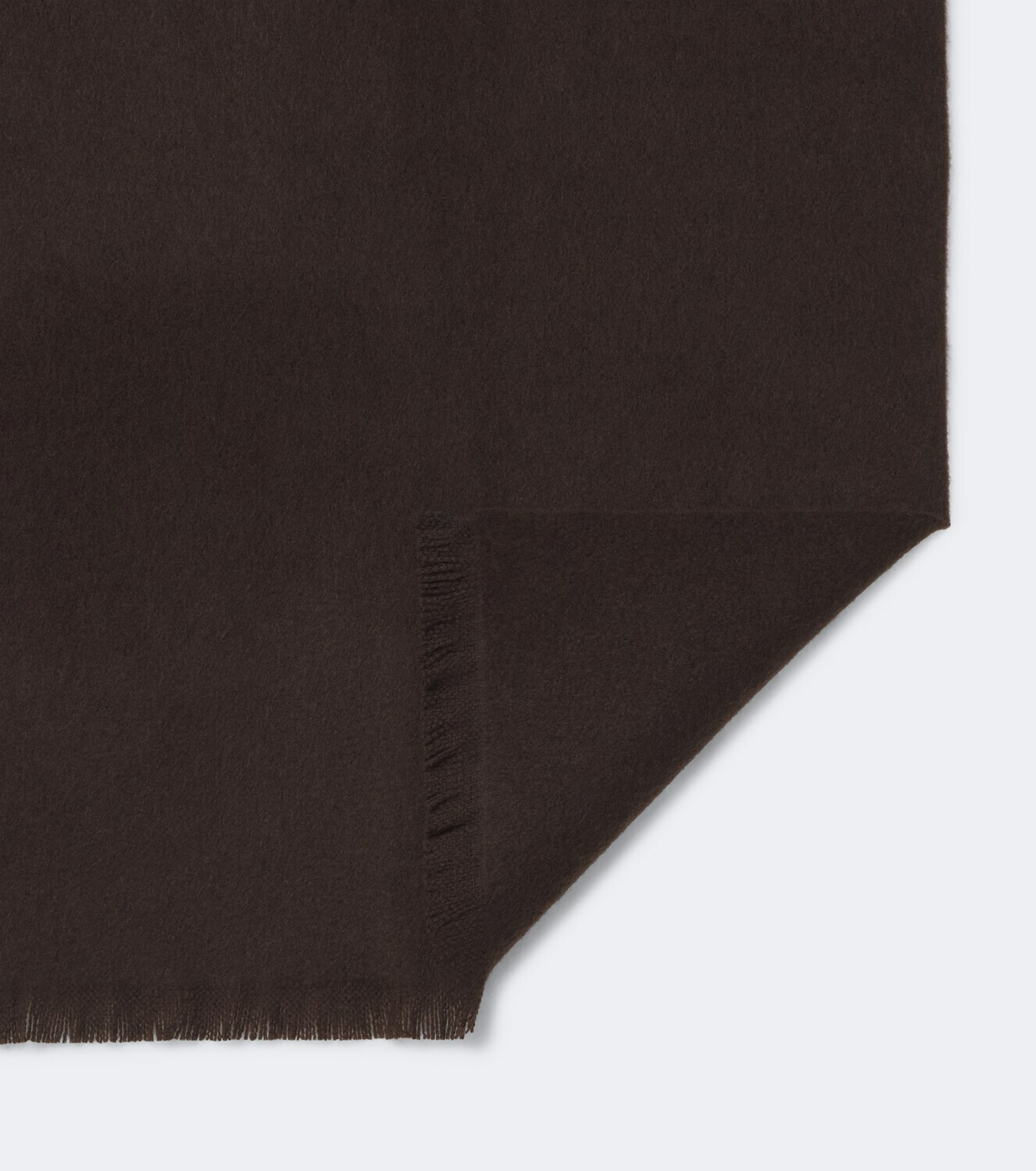 The Row Ingo cashmere scarf