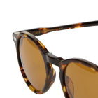Moscot Miltzen Sunglasses in Cosmitan Brown