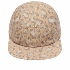 Adidas Men's XPR Cap in Blanch Cargo/Cardboard 