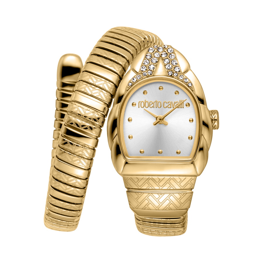Roberto Cavalli Aurora Silver-tone Dial Ladies Watch RC5L133M0035