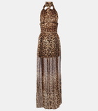 Dolce&Gabbana Leopard-print silk chiffon maxi dress