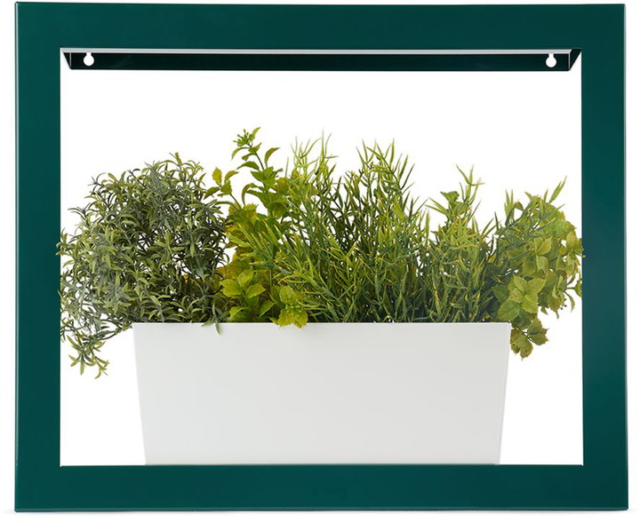 Photo: Modern Sprout Green Smart Growframe Planter