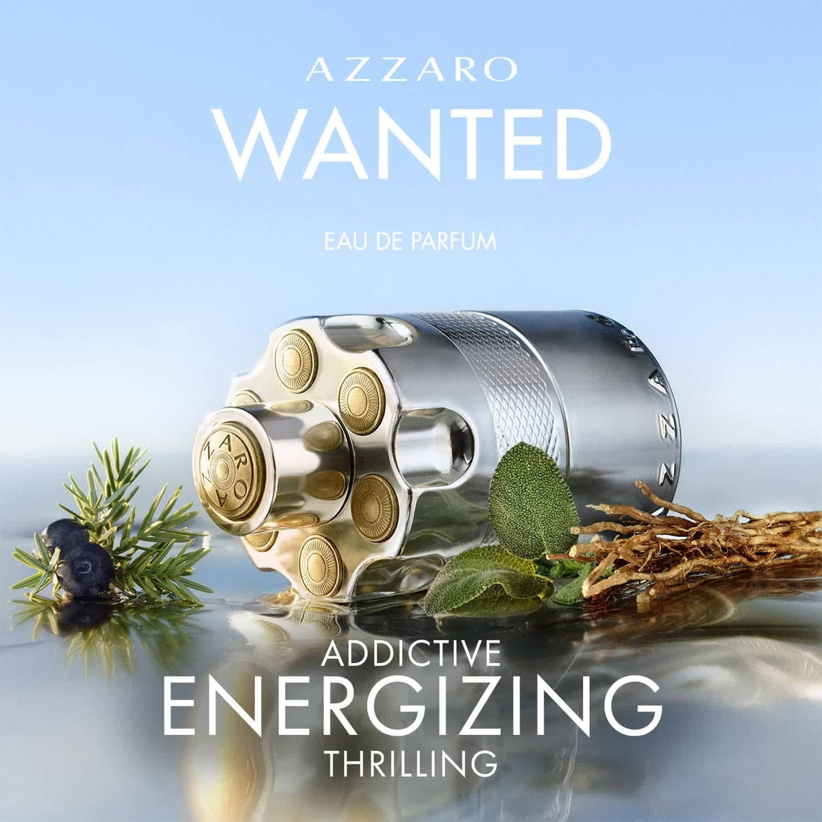 Azzaro Mens Wanted Eau de Parfum EDP 1.7 oz Fragrances 3614273905428