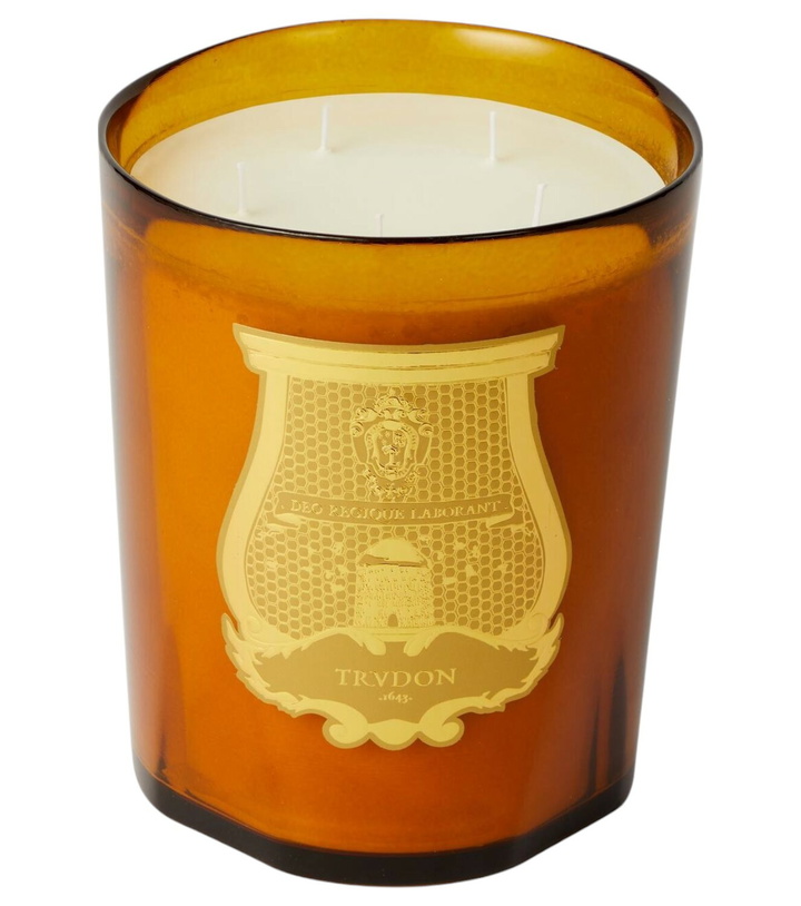 Photo: Trudon Altaïr Grande scented candle