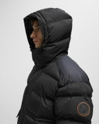Napapijri A-GAIL PUF Black Mens Down & Puffer Jacket