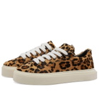 Cole Buxton Men's Wilson Sneakers in Leopard Print