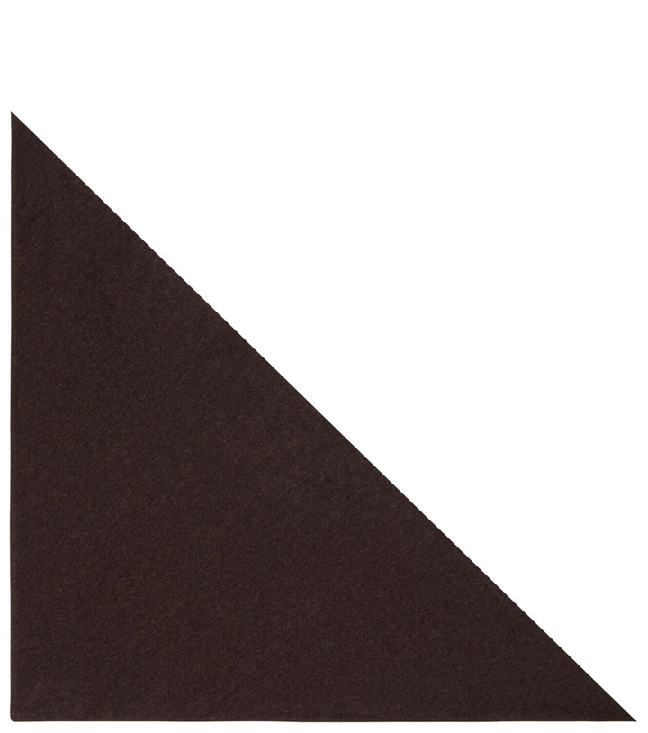Photo: The Row Leomine cashmere scarf