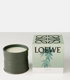 Loewe Home Scents Marihuana Medium scented candle