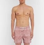 Ermenegildo Zegna - Mid-Length Printed Swim Shorts - Men - Red