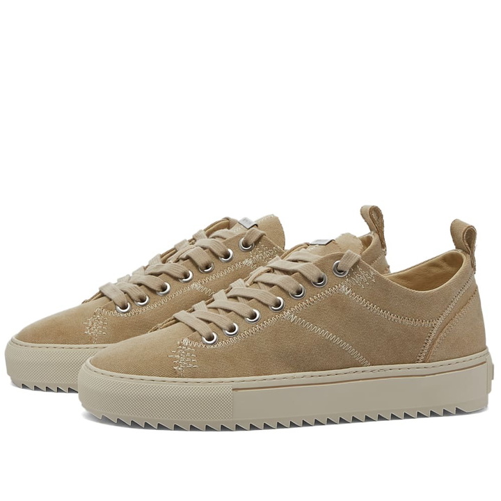 Photo: Represent Men's Alpha Low Canvas Sneakers in Tan