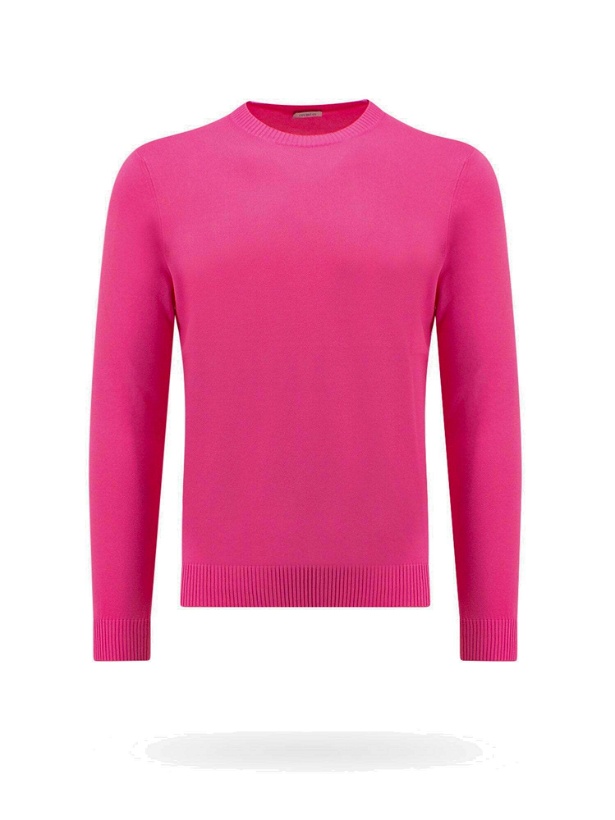 Photo: Malo   Sweater Pink   Mens