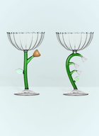 Ichendorf Milano Set Of Six Botanica Champagne Glasses