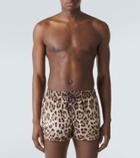 Dolce&Gabbana Leopard-print swim trunks
