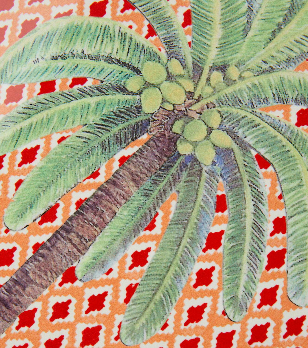 Lisa Corti Hima Palma set of 2 placemats